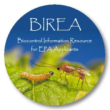 BIREA